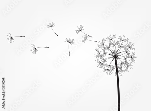 Abstract background of a dandelion for design.