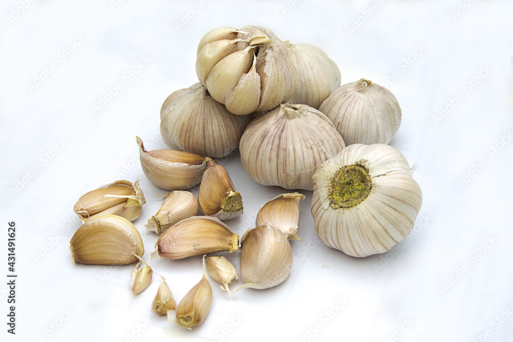 Garlic Isolated on white background Garlic Isolated on white background