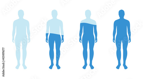 Infographic showing water percentage level in human body. Vector illustration Water balance.