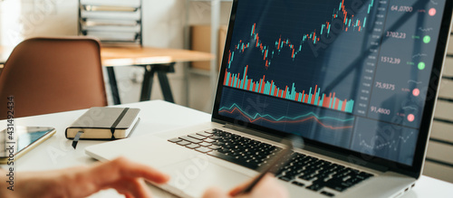 Bild auf Leinwand Woman working with investment stock market using laptop, analyzing trading data