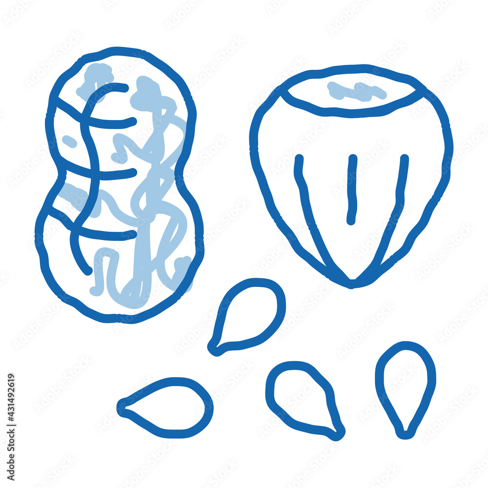 Assortment Healthy Food Nuts doodle icon hand drawn illustration Assortment Healthy Food Nuts doodle icon hand drawn illustration