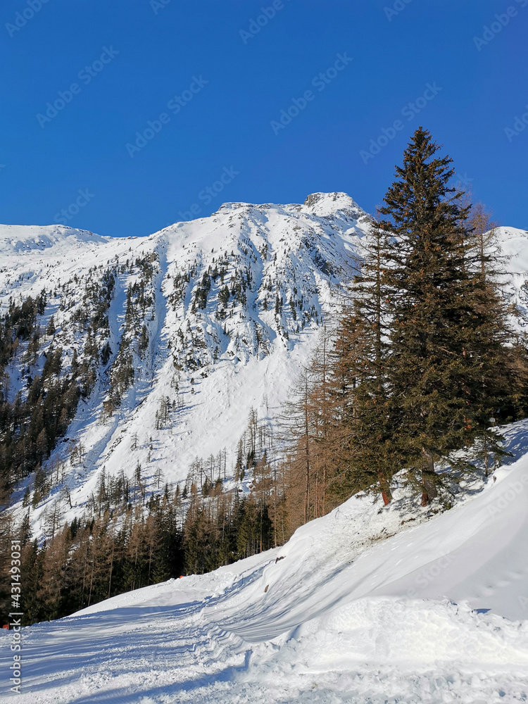 snow covered mountains snow covered mountains