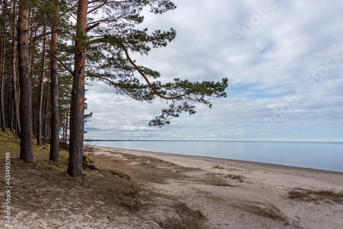 Fototapeta Naklejka Na Ścianę i Meble -  Beach on the Baltic Sea in Latvia