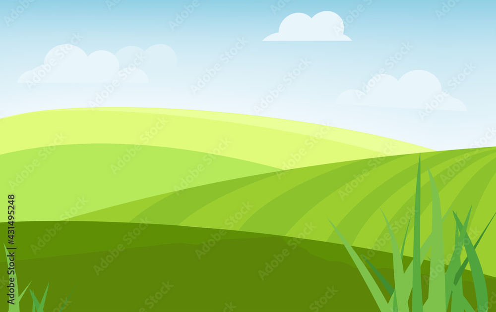 Summer fields landscape