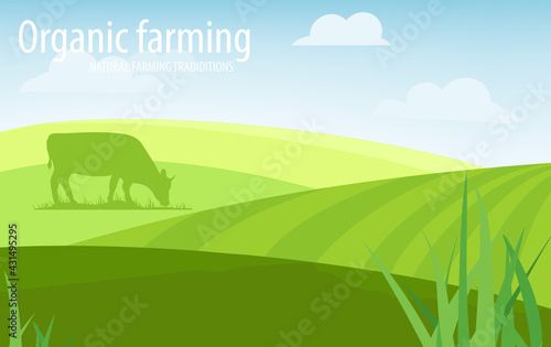 Rural landscape organic farming