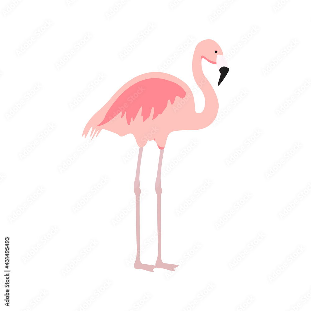 Fototapeta premium Exotic pink flamingo