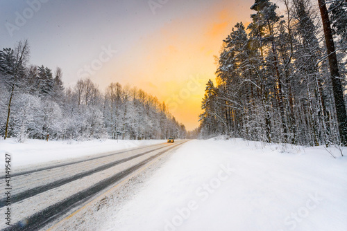Sunrise on a clear winter morning, the headlights of approaching cars on a country road into a snowfall passing through a pine forest. View from the side of the road. Coniferous forest. 