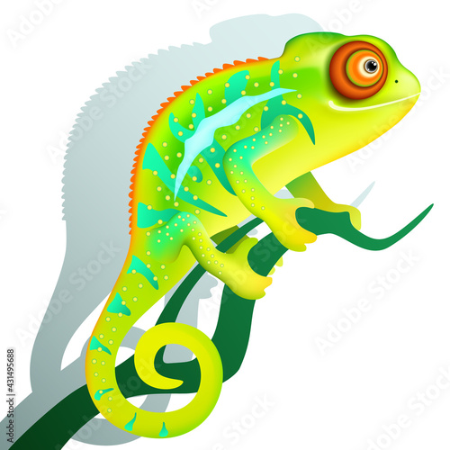 funny cartoon colorful chameleon is sitting on branch. exotic tropical animal with shadow on white background. vector illustration