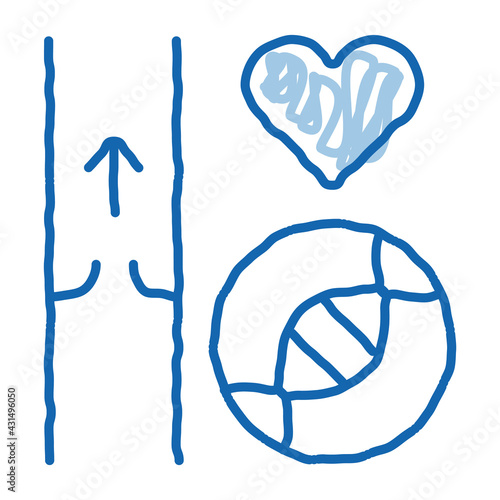 Heart Vaisseau Sanguin Biomaterial doodle icon hand drawn illustration