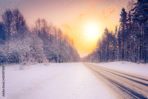 Sunrise on a clear winter morning  road passing through the forest in the snow. View from the side of the road. Coniferous forest. Russia  Europe. Beautiful nature.