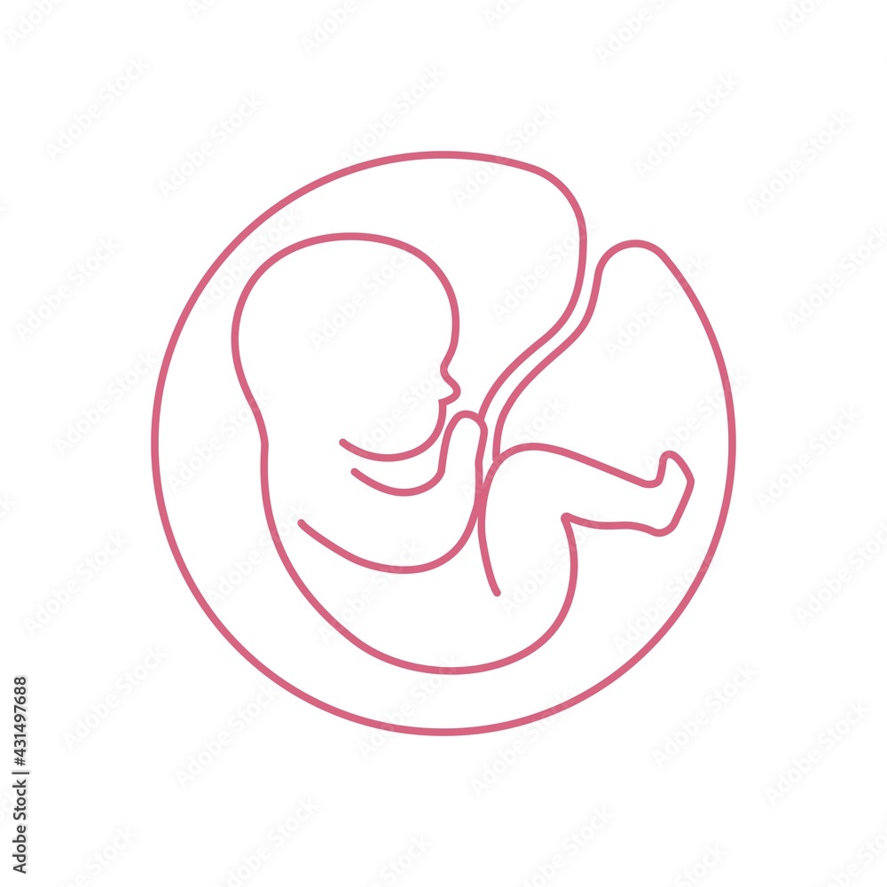 Line logotype. Baby in the womb with umbilical cord. Stylish logo for a prenatal or reproductive clinic, pregnancy brochure, surrogacy agency. Round frame, elegant icon.