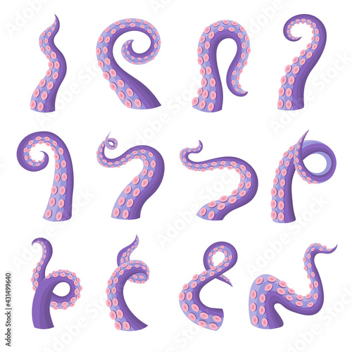 Octopus tentacles. Wild scare underwater ocean danger animal acuatic octopus cut tentacles recent vector illustrations body parts