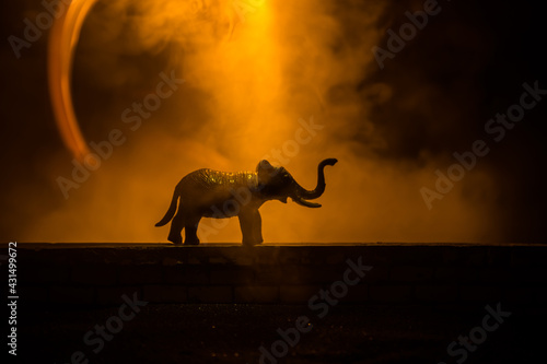 Silhouette of an elephant miniature standing at foggy night. Creative table decoration with colorful backlight with fog.