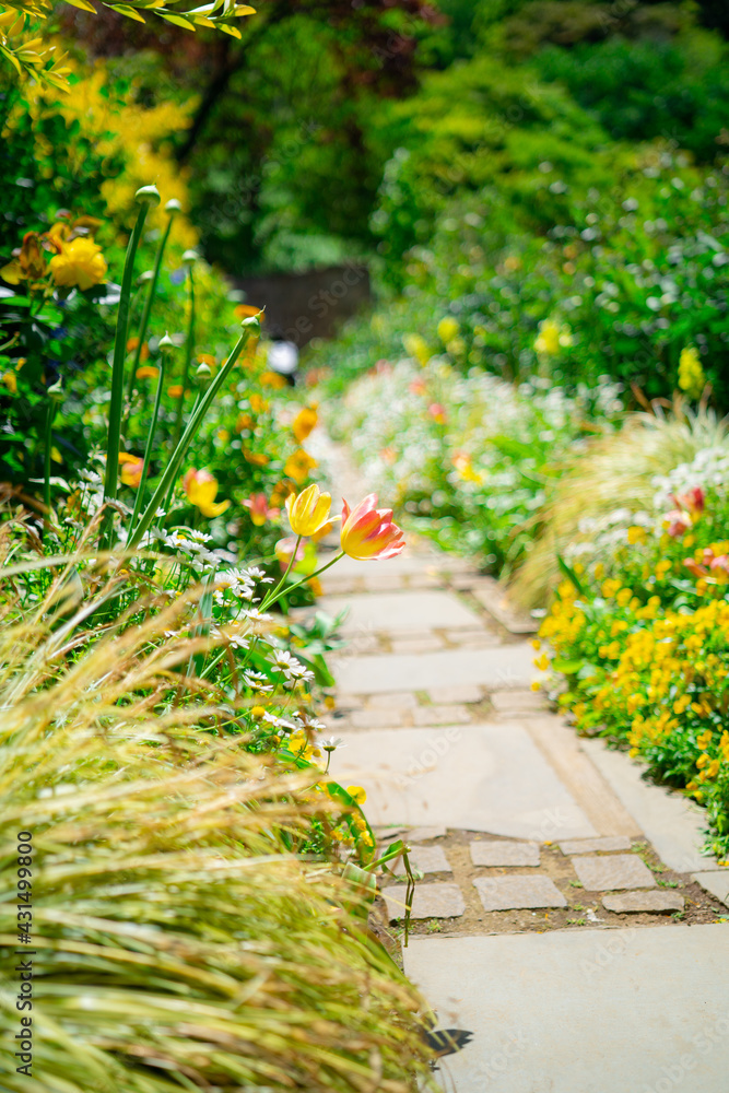 熱海の庭園の景色 Stock Photo Adobe Stock