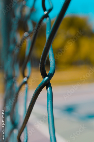 close up of a branch