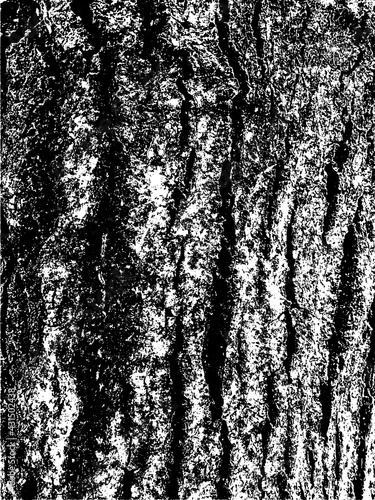 Grunge tree bark texture. Distressed overlay texture. Black and white vector texture