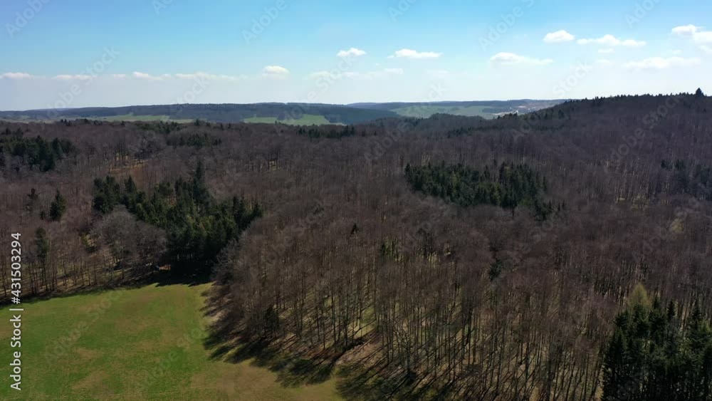 Frühlingserwachen im Wald - Kamerafahrt Frühlingserwachen im Wald - Kamerafahrt