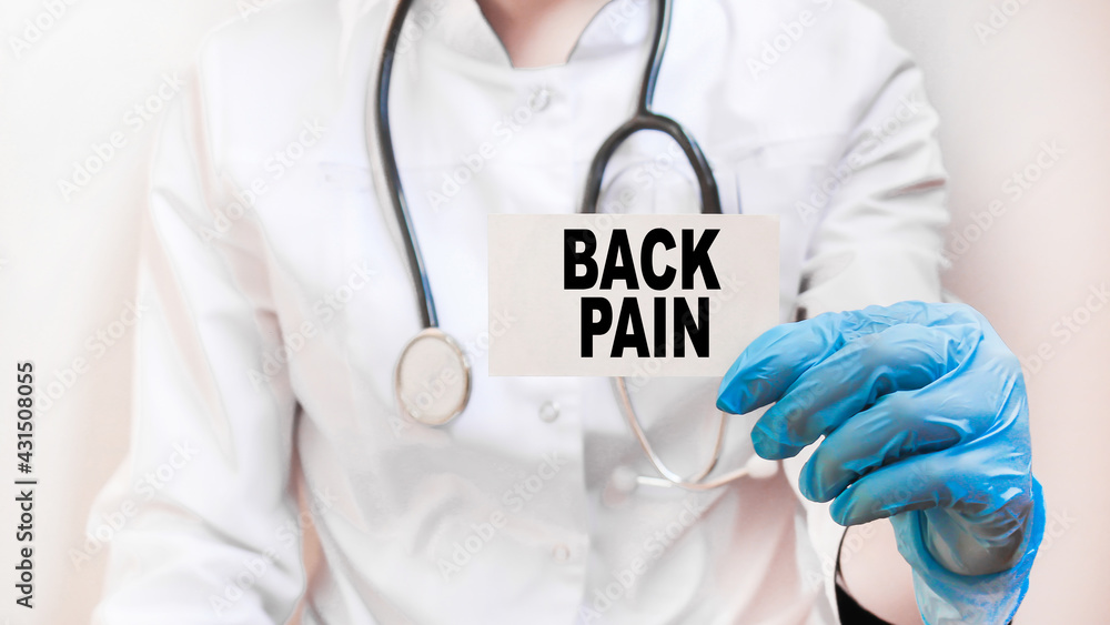 the doctor in gloves holds a card with the text BACK PAIN . white background. the medicine the doctor in gloves holds a card with the text BACK PAIN . white background. the medicine