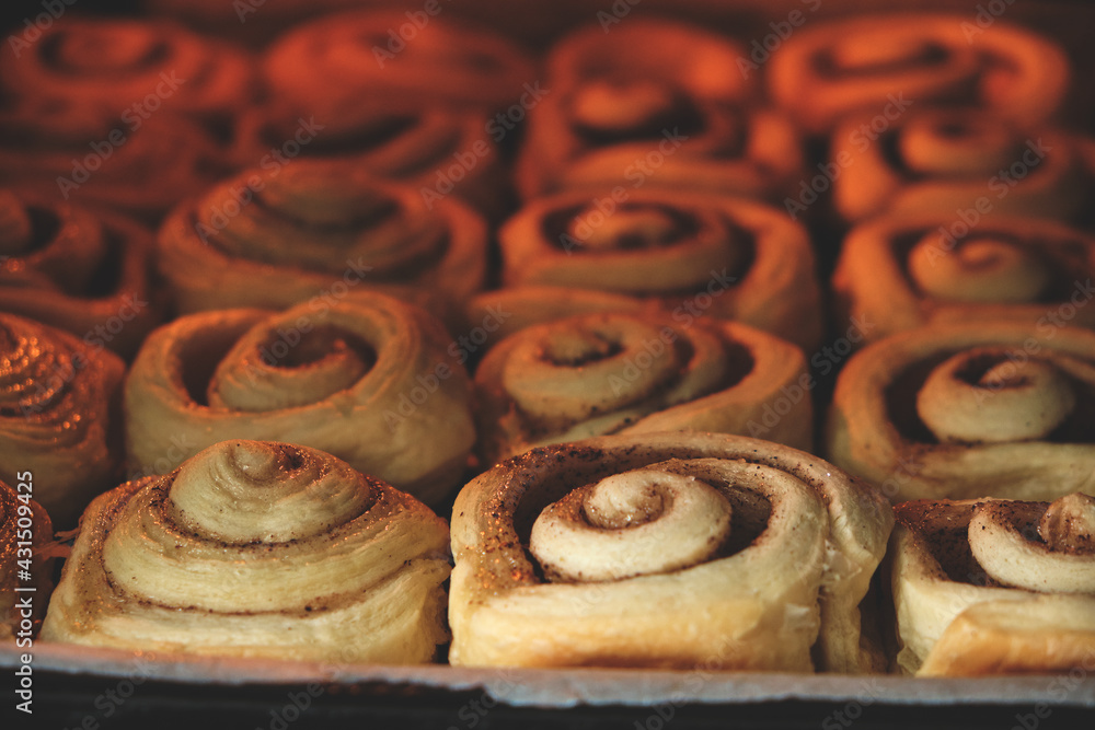 Fototapeta premium Cinnamon rolls are baked in oven, homemade cakes.