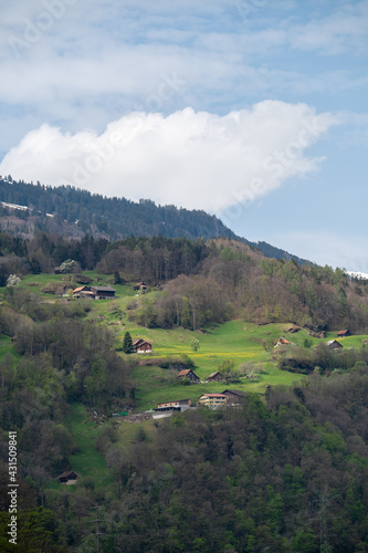 Landschaft Flums Palfries