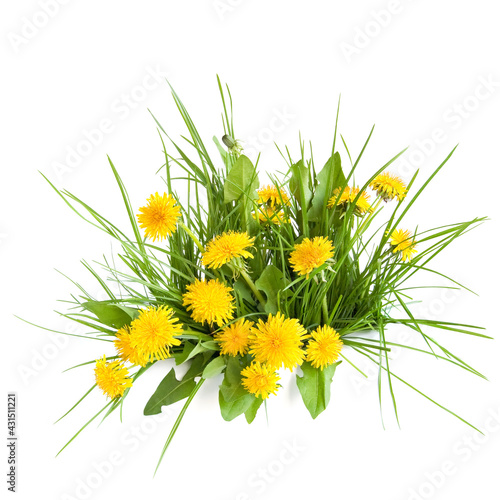 Bouquet of yellow dandelions and green grass isolated on white background