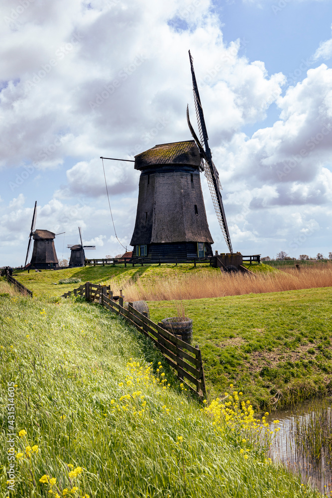 Windmill in polder Schermerhorn in the Netherlands