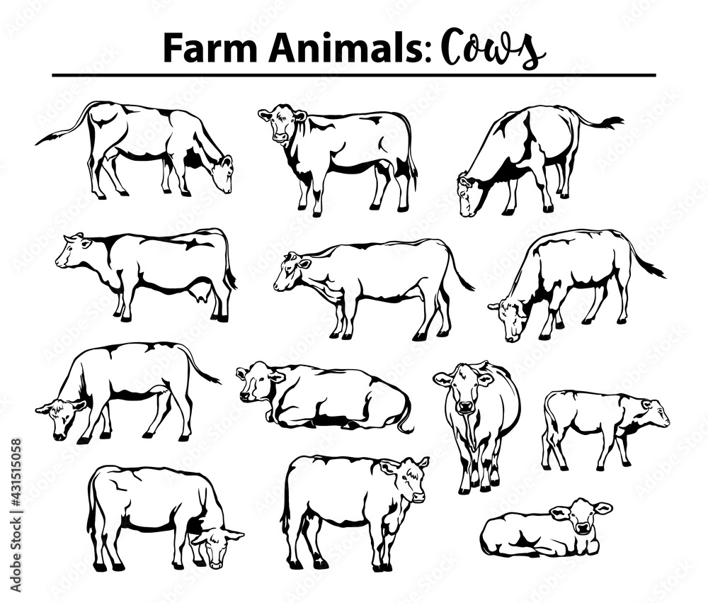 Different cows set in contour, outline. Side view, front view, laying, standing, grazing, walking etc