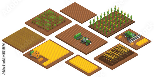 Agriculture automatic guided robots harvest.