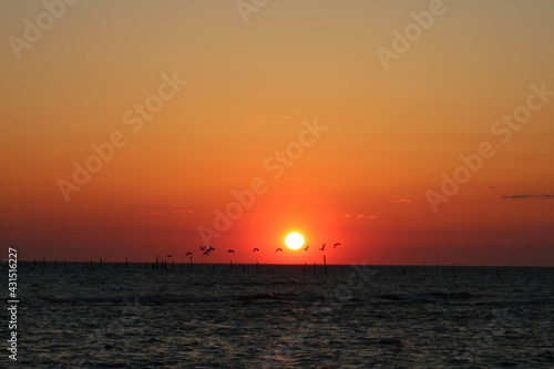 Pelicans Flying Over Ocean During Sunset © Sarah