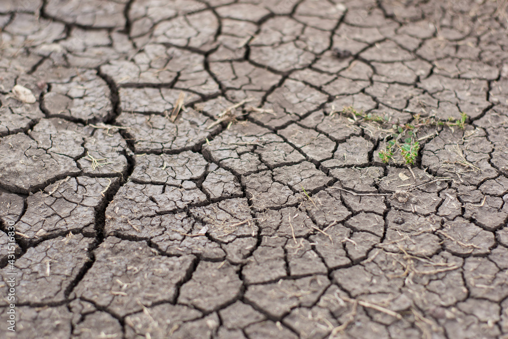 technology waste in the arid soil technology waste in the arid soil