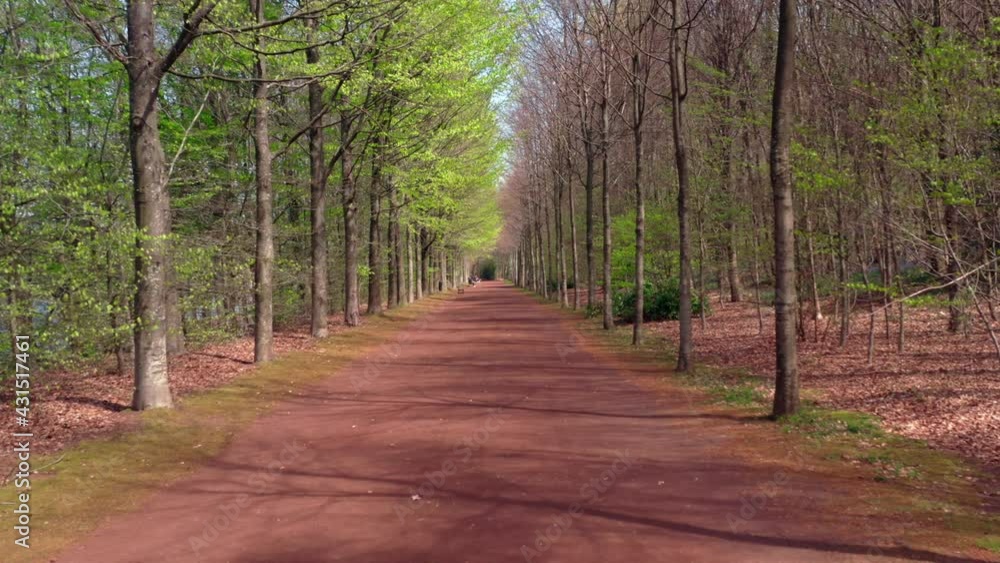 Hiking path in the forest. Beautiful natural post-winter atmosphere with dead leaves on the ground and growing leaves on the trees again. Hiking path in the forest. Beautiful natural post-winter atmosphere with dead leaves on the ground and growing leaves on the trees again.