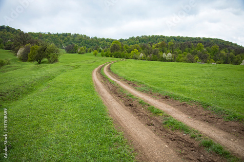 dirt road through the fields goes to the forest