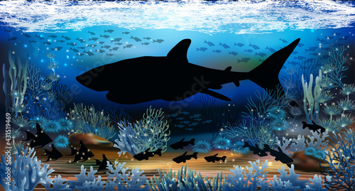 Underwater wallpaper with shark, vector illustration