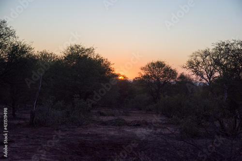 Sunrise in the African bush
