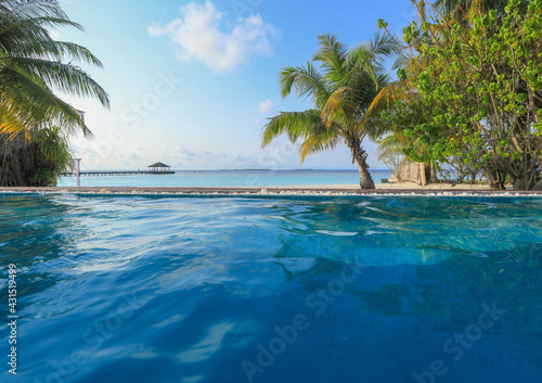 pool with a palm tree on the shore of a tropical island