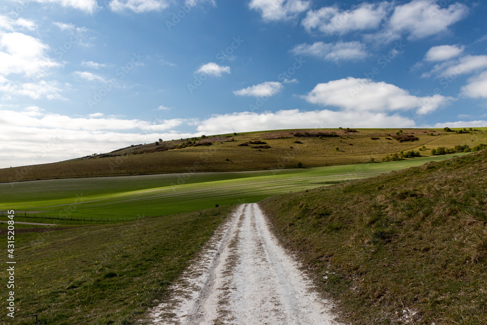 A Pathway through Farmland in the Sussex Countryside