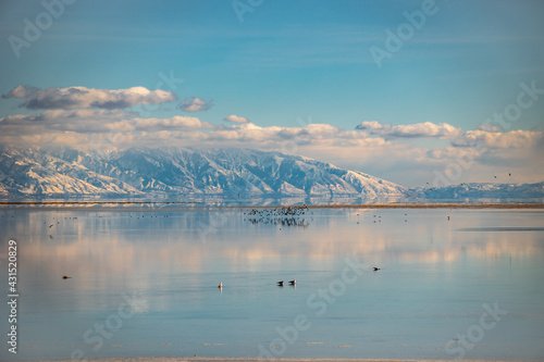 lake and mountains - great salt lake