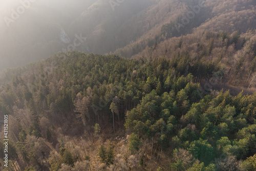 Aerial view above the beautiful mountain forest, during spring.