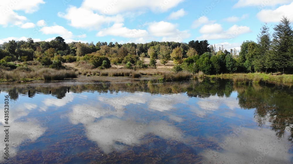 huisapi, chile