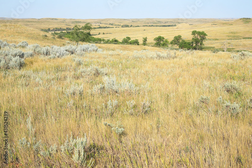 Little Missouri National Grassland in North Dakota, USA photo