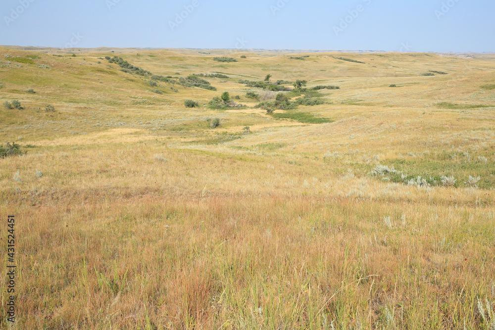 Fototapeta premium Little Missouri National Grassland in North Dakota, USA