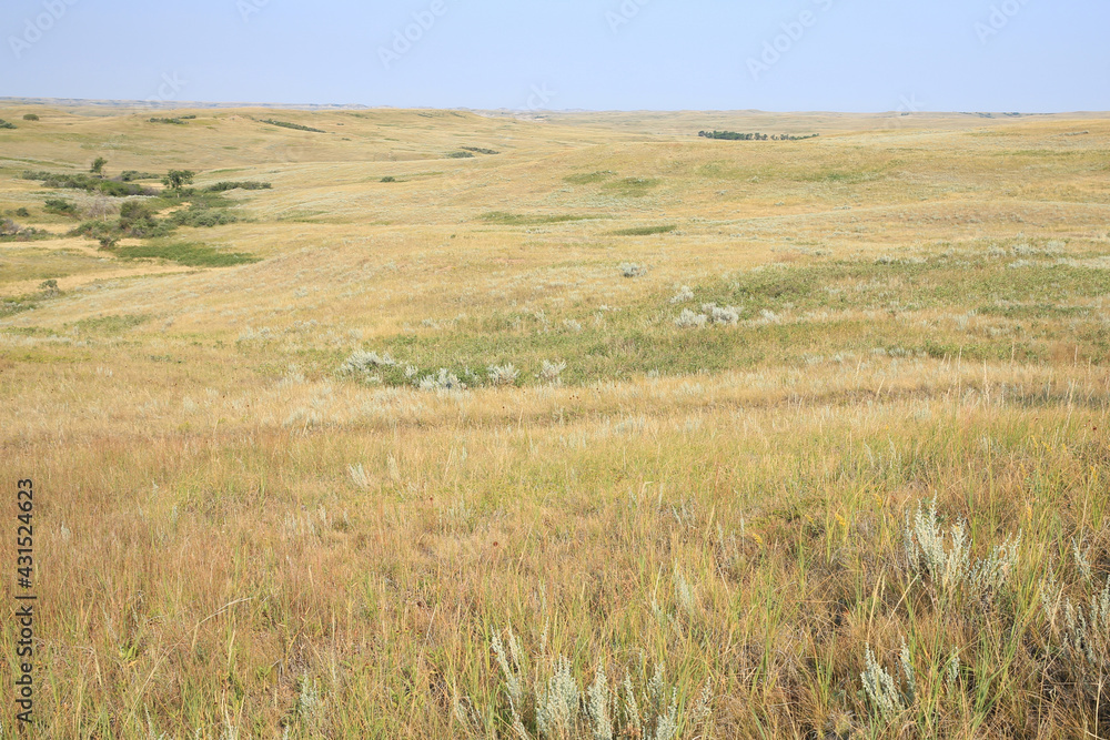 Little Missouri National Grassland in North Dakota, USA