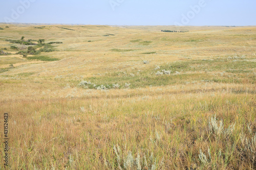 Little Missouri National Grassland in North Dakota  USA