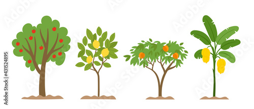 Organic production cartoon vector illustration with fruit trees