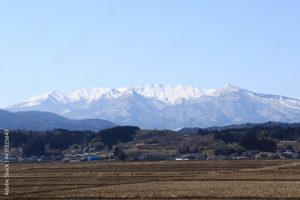 田んぼ越しに見る蔵王連峰の冬の雪化粧風景　（宮城県刈田郡蔵王町）