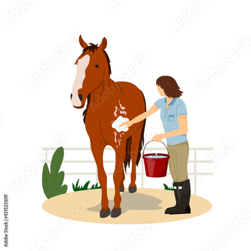 Girl washing horse. Pet care. Horse riding. Equestrian Sport. Isolated Vector Illustration on a flat style. Realistic image. Horse riding lessons