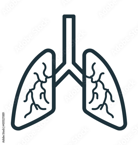 Human Lungs Vector Icon