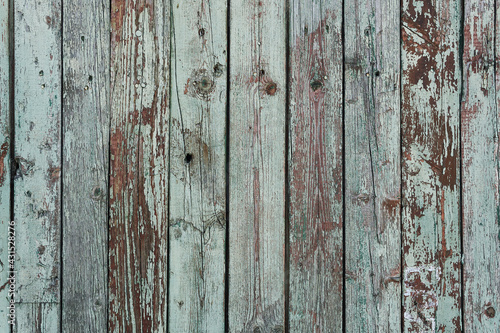Wooden aged paint background. Dark turquoise paint has cracked from time to time on solid wood planks that are stacked vertically.