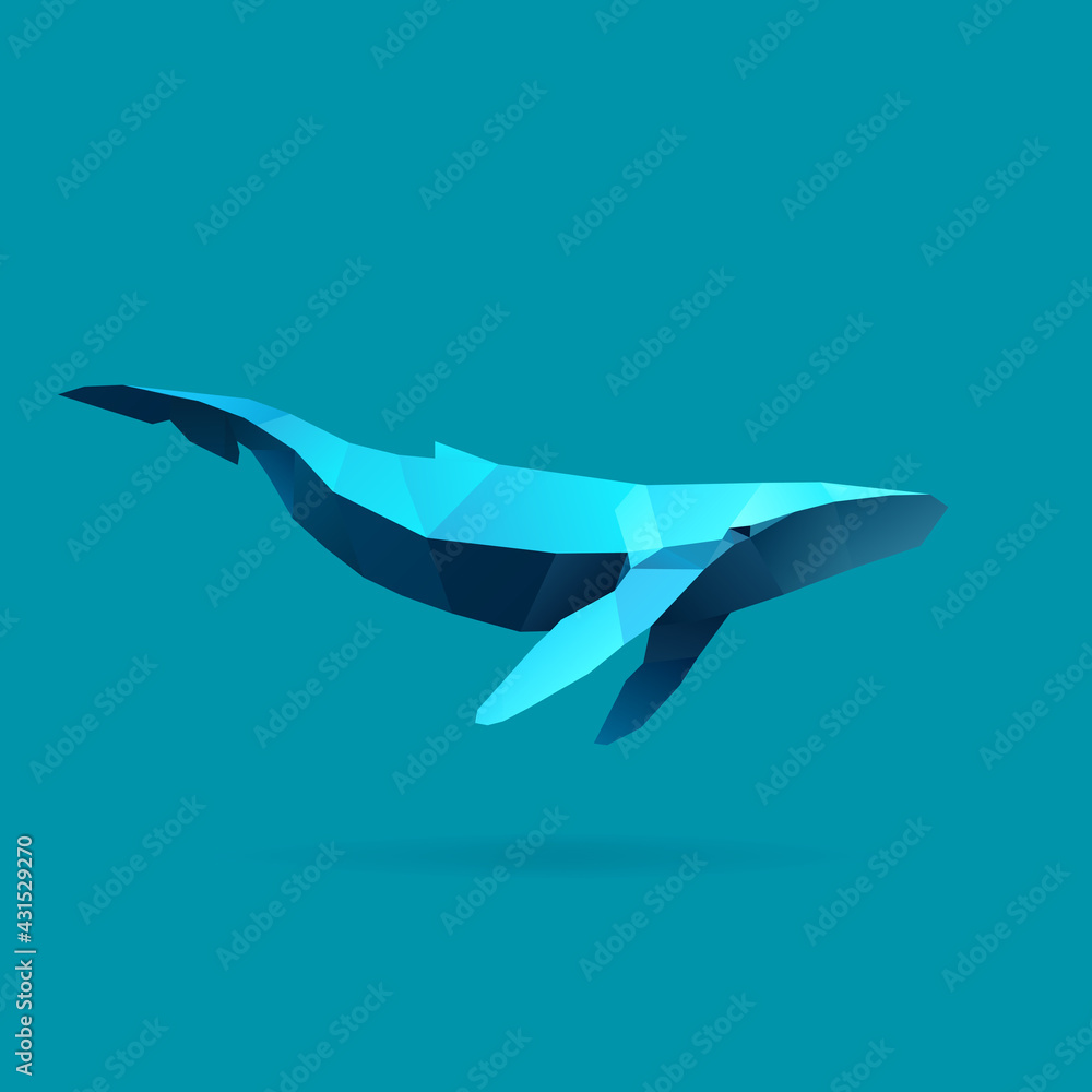 Fototapeta premium illustration of whale
