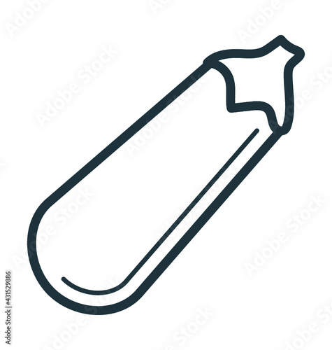 Brinjal Vector Icon